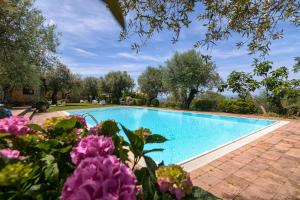 a swimming pool in a yard with purple flowers at Agriturismo Il Vecchio Casale in Vatolla