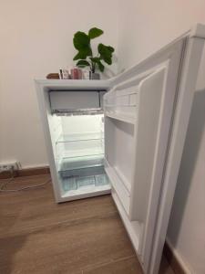 an open refrigerator with a plant inside of it at Rooms Sincelejo in Madrid