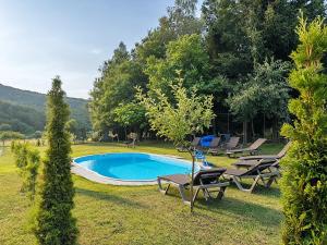 a swimming pool with lounge chairs next to a yard at Садиба в горах in Solochyn