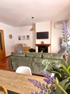 a living room with two couches and a tv at Casa Ariño Ruidera in Ruidera