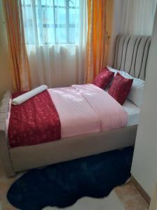 a bedroom with a bed with red pillows and a window at BnB in Homa Bay