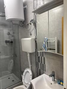 a bathroom with a toilet and a sink and a shower at Apartmani Rosa in Rača +52 photos