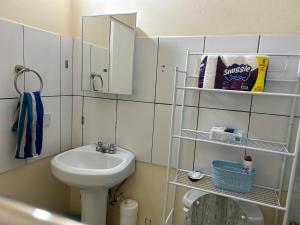 a small bathroom with a sink and a mirror at Bella Casa in Kingstown +23 photos
