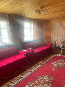 a living room with two beds and a red rug at Kolsay Camp House in Kurmenty