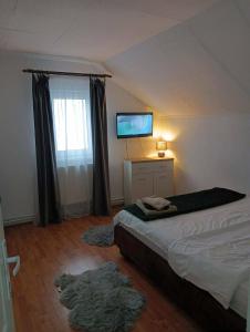 a bedroom with a bed and a flat screen tv at Acasă la Cutuca in Ranca