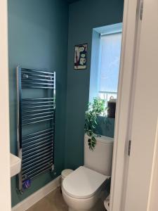 ein Badezimmer mit Toilette und einem Fenster mit einer Pflanze in der Unterkunft Double Ensuite Room, Bray in Bray