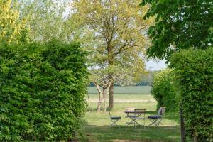 a picnic table and chairs in a park between two bushes at Ferienwohnung Blücherkate I - Boldevitzer Rügenkaten in Parchtitz +7 photos