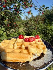 a waffle cake on a plate with berries on it at Green yard Guest house Barskoon in Barskoon