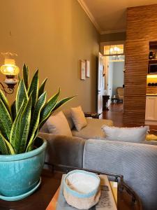 a living room with a couch and a potted plant at Hommage in Horta