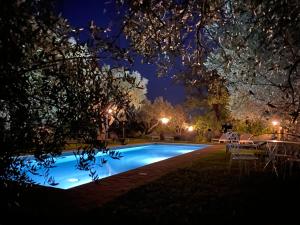 a swimming pool lit up at night at Dimora di Campagna La Cervaiola in Porano