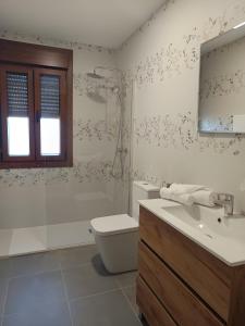 a bathroom with a toilet and a sink at Casa Pampillon in Cangas de Morrazo +15 photos