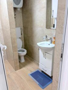 a bathroom with a toilet and a sink and a mirror at Yapart in Utjeha +15 photos
