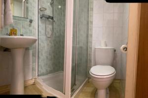 a bathroom with a toilet and a shower and a sink at Windermere Bed and Breakfast in Windermere