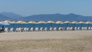 a row of chairs and umbrellas on a beach at Muretto House in Oreoi