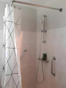 a shower in a bathroom with a shower curtain at La Ferme Du Marronnier in Valence-dʼAlbigeois +32 photos