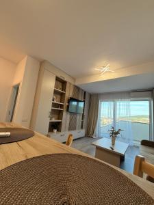 a large bedroom with a large bed and a television at Urban Nest Florești in Floreşti