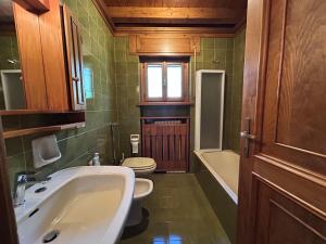 a bathroom with a sink and a toilet at Room Dolomites ''Antelao'' in San Vito di Cadore