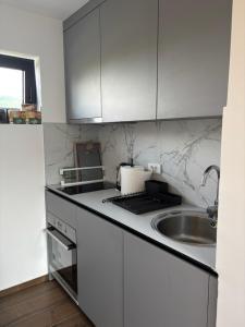 a white kitchen with a sink and a counter top at Zelena reka 4 in Vrhpolje