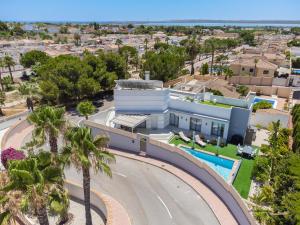 an aerial view of a house with palm trees at Villa Dominica in Rojales