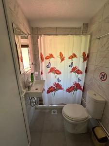 a bathroom with a toilet and a shower curtain at Villa ANA-Mavrovo in Mavrovo