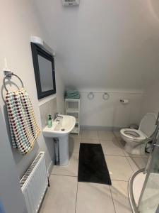 a bathroom with a sink and a toilet at Lar Na Cluaine in Kilmurry +12 photos