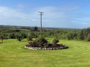 a flower bed in the middle of a field at Lar Na Cluaine in Kilmurry