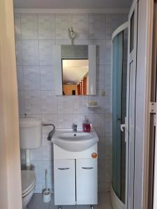 a bathroom with a sink and a toilet and a mirror at Vila Simona in Călimăneşti