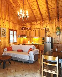 a kitchen with a couch in a room with wooden walls at Mountain Nook Melissourgoi in Melissourgoí