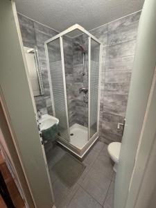 a bathroom with a shower and a toilet at Écrin de barr in Barr