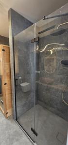 a bathroom with a shower with a glass door at Sarbinowo Lazur Spokojna in Sarbinowo +25 photos