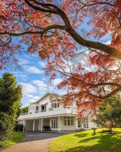 a white house with a tree with red leaves at 21 Villa in Whangarei