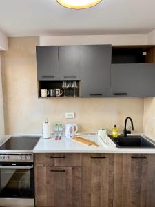 a kitchen with a sink and a counter top at COSMOS Panorama Apartments in Prilep