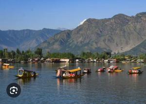 a group of boats on a body of water with mountains at houseboat star ruby snow view in Srinagar +16 photos