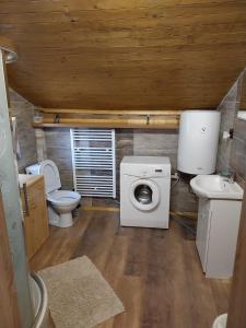 a bathroom with a toilet a sink and a washing machine at Chata v lese in Olbramkostel +35 photos