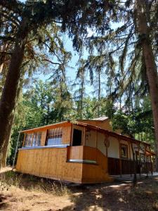 a cabin in the woods with trees at Chata v lese in Olbramkostel