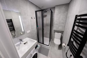a bathroom with a sink and a shower and a toilet at NOVA Apartment - 1 in Klaipėda