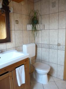 Koupelna v ubytování Tölgyfakuckó apartman + 25 fotografií
