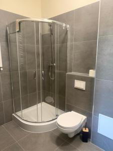 a bathroom with a shower and a toilet at Pokoje Gościnne Nad Zalewem w Starej Morawie in Stronie Śląskie