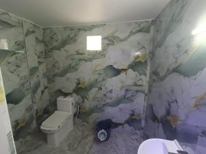 a bathroom with a toilet and a marble wall at Lakhimpur Central Homestay - Unmarried couples not allowed in North Lakhimpur