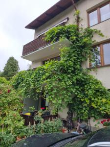 a building with a bunch of plants growing on it at Pokoje Poniatowka in Nałęczów