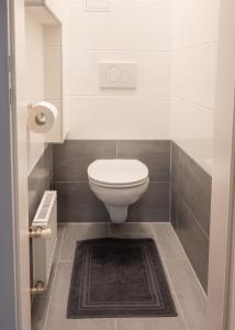 a bathroom with a toilet and a rug at Paky Appartements 00209 in Vienna