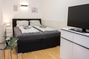 a room with a bed and a flat screen tv at Paky Appartements 00209 in Vienna