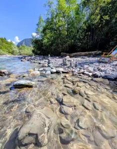 a river with rocks and trees in the water at Haus Valtellina in Sankt Gallenkirch