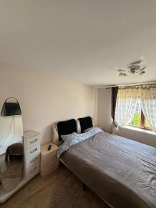 a bedroom with a bed and a dresser and a mirror at Rose Cozy in Snagov