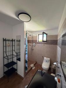 a bathroom with a toilet and a shower and a sink at Rose Cozy in Snagov