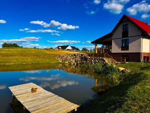 a house and a pond with ducks in the water at Domek nad Oczkiem Wodnym in Giżycko