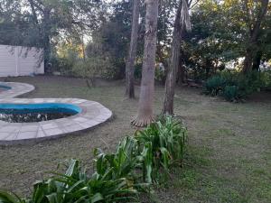 a garden with a tree and a small pool at Graciela in Villa Las Rosas