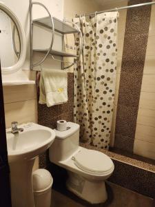 a bathroom with a toilet and a sink and a shower at Hotel Palace in Huancayo +6 photos