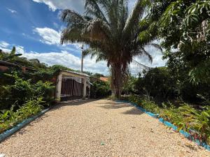 a palm tree in front of a house with a driveway at Finca los carrangueros in Apulo