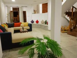 a living room with a couch and a plant at senlin villa in Galle